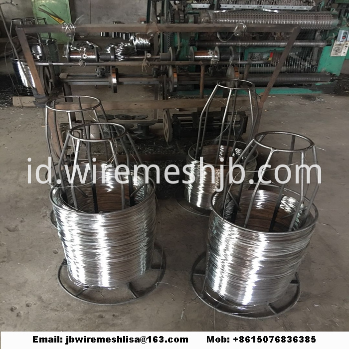 Welded Wire Mesh Galvanized Welded Wire Mesh Roll